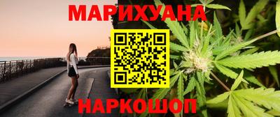 шишки Тверь