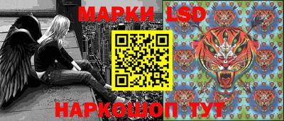 шишки Тверь
