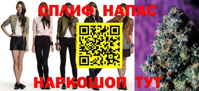 шишки Тверь