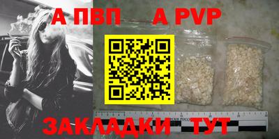 шишки Тверь